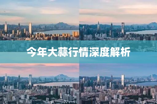 今年大蒜行情深度解析