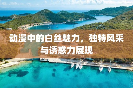 动漫中的白丝魅力，独特风采与诱惑力展现
