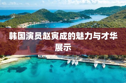 韩国演员赵寅成的魅力与才华展示