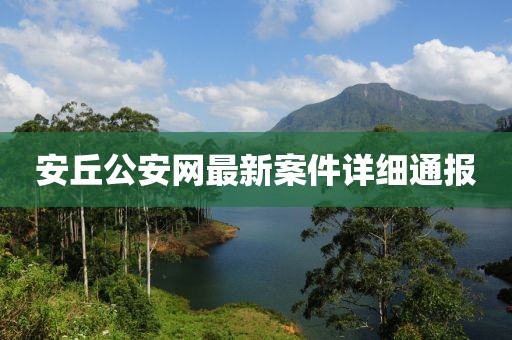 安丘公安网最新案件详细通报