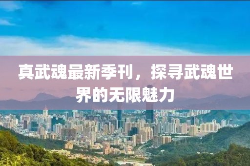 真武魂最新季刊，探寻武魂世界的无限魅力