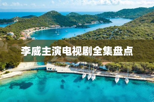 李威主演电视剧全集盘点