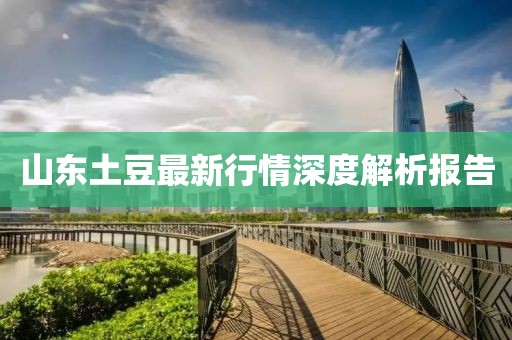 山东土豆最新行情深度解析报告