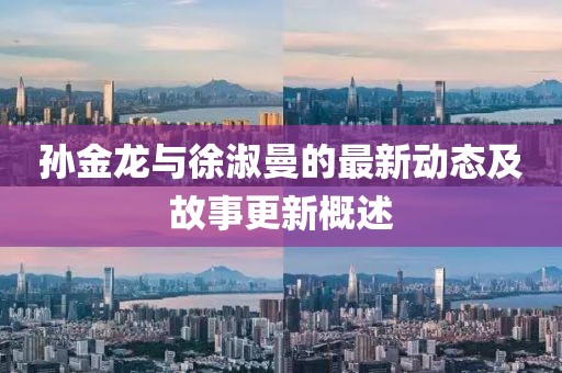 孙金龙与徐淑曼的最新动态及故事更新概述