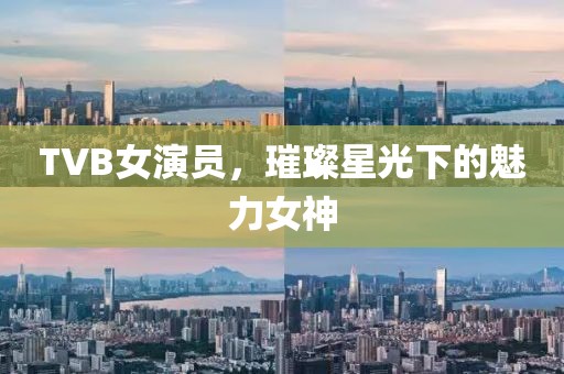TVB女演员，璀璨星光下的魅力女神