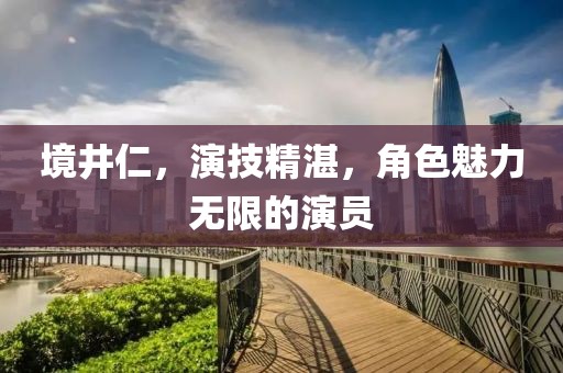 境井仁，演技精湛，角色魅力无限的演员