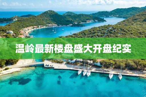 花开无言 第4页