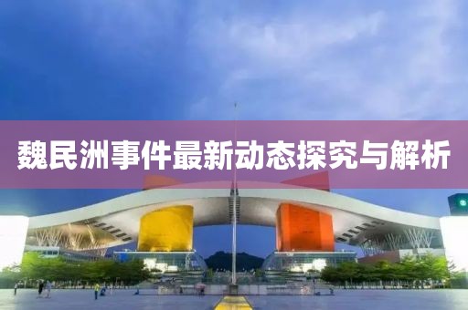 魏民洲事件最新动态探究与解析