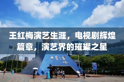 王红梅演艺生涯，电视剧辉煌篇章，演艺界的璀璨之星