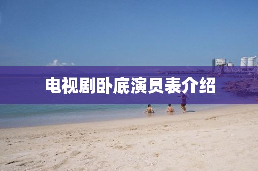 电视剧卧底演员表介绍