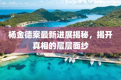 杨金德案最新进展揭秘，揭开真相的层层面纱