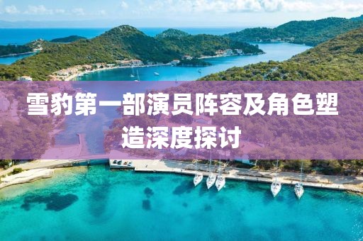 雪豹第一部演员阵容及角色塑造深度探讨