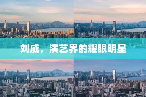 刘威，演艺界的耀眼明星