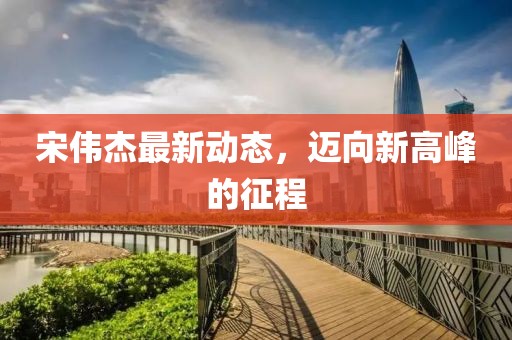 宋伟杰最新动态，迈向新高峰的征程