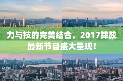 力与技的完美结合，2017摔跤最新节目盛大呈现！