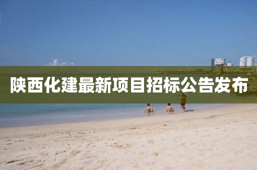海棠正酣 第4页