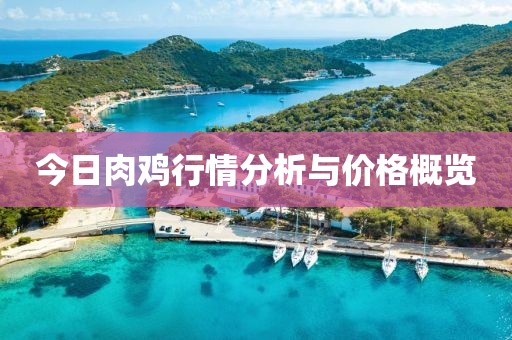 今日肉鸡行情分析与价格概览