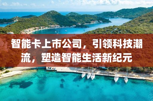 智能卡上市公司，引领科技潮流，塑造智能生活新纪元