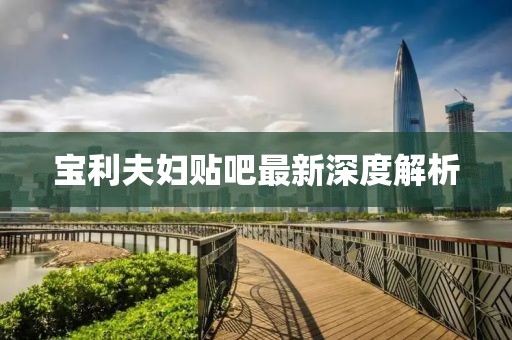 宝利夫妇贴吧最新深度解析