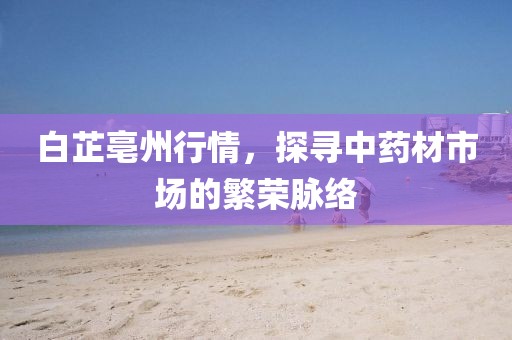 白芷亳州行情，探寻中药材市场的繁荣脉络