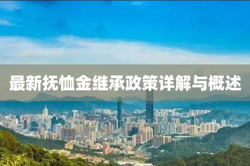 最新抚恤金继承政策详解与概述