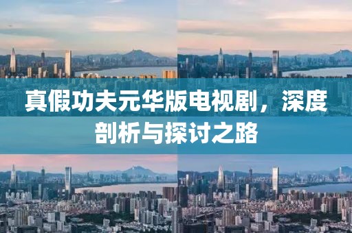 真假功夫元华版电视剧，深度剖析与探讨之路