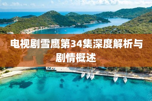 电视剧雪鹰第34集深度解析与剧情概述