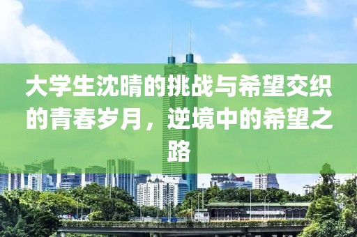 大学生沈晴的挑战与希望交织的青春岁月，逆境中的希望之路
