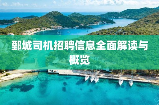 鄄城司机招聘信息全面解读与概览