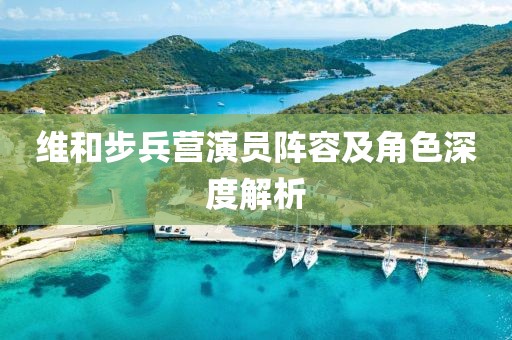 维和步兵营演员阵容及角色深度解析