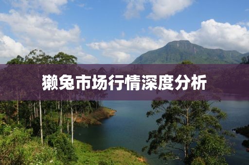 獭兔市场行情深度分析