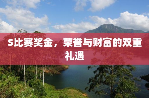 S比赛奖金，荣誉与财富的双重礼遇