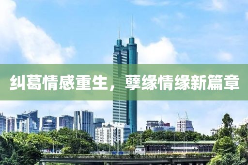纠葛情感重生，孽缘情缘新篇章