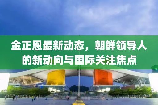 金正恩最新动态，朝鲜领导人的新动向与国际关注焦点
