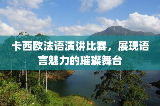 卡西欧法语演讲比赛，展现语言魅力的璀璨舞台
