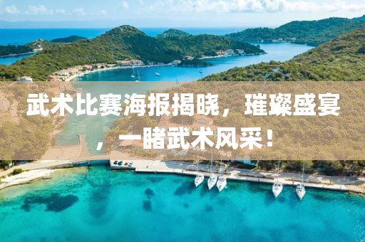 武术比赛海报揭晓，璀璨盛宴，一睹武术风采！