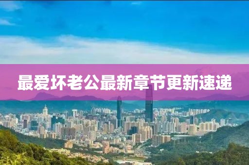 最爱坏老公最新章节更新速递