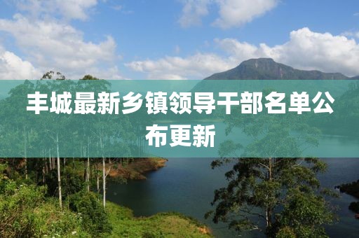 丰城最新乡镇领导干部名单公布更新