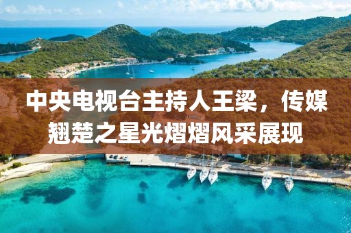 中央电视台主持人王梁，传媒翘楚之星光熠熠风采展现