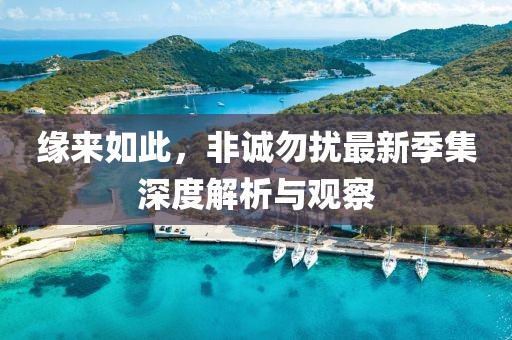 缘来如此，非诚勿扰最新季集深度解析与观察