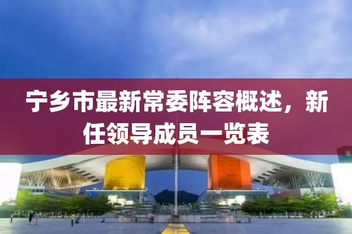 宁乡市最新常委阵容概述，新任领导成员一览表