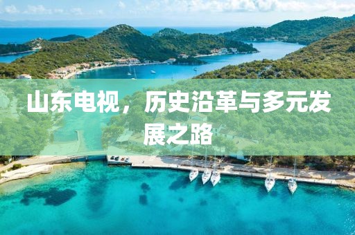 山东电视，历史沿革与多元发展之路
