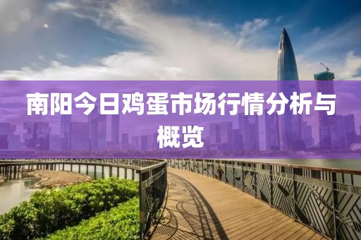 南阳今日鸡蛋市场行情分析与概览