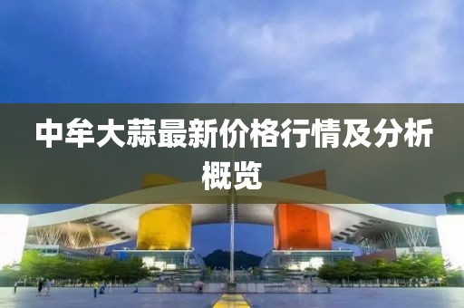 中牟大蒜最新价格行情及分析概览