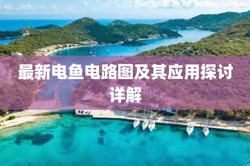 最新电鱼电路图及其应用探讨详解