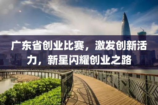 广东省创业比赛，激发创新活力，新星闪耀创业之路