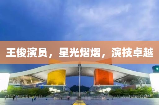 王俊演员，星光熠熠，演技卓越