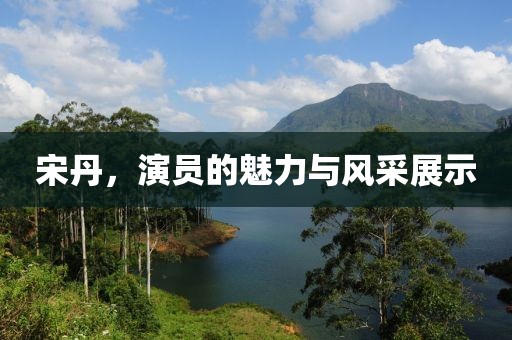 宋丹，演员的魅力与风采展示