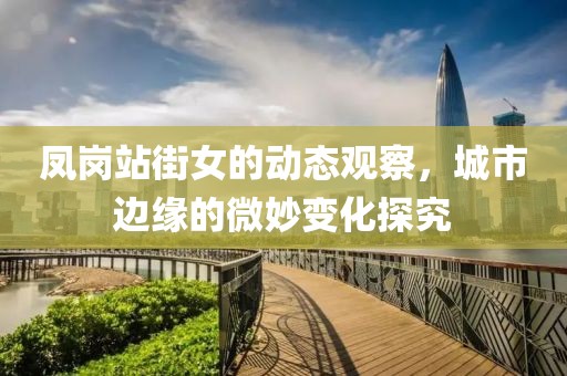 凤岗站街女的动态观察，城市边缘的微妙变化探究