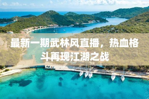 最新一期武林风直播，热血格斗再现江湖之战